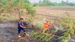 Potret Petugas Padamkan Kebakaran Lahan Dekat Tol Pejagan Km 267 dan 269