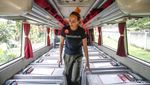 Lolos dari Rumah Jagal, Puluhan Ekor Anjing Ini Terbang ke Kanada