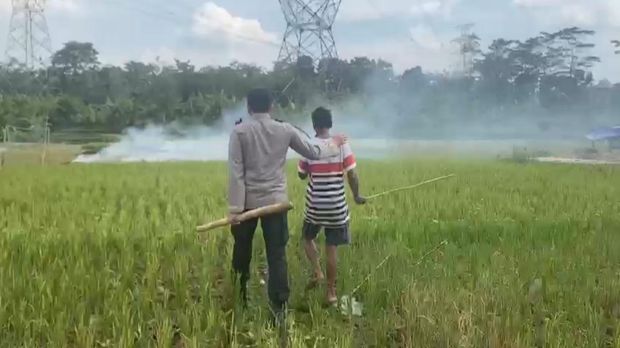 Masih ditemukan aktivitas pembakaran jerami di persawahan area pinggir jalan tol. Kali ini di Tol Bawen-Ungaran jalur B Km 437-438, Selasa (20/9/2022) sore.