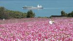 Menelusuri Gugusan Pulau Terindah di Jepang