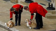 Momen Anjing Corgi Kesayangan Ratu Elizabeth II Menanti Prosesi Pemakaman