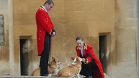 Anggota staf, dengan anjing corgi, menunggu kedatangan peti mati Ratu Elizabeth II di Kastil Windsor. Ratu yang meninggal pada usia 96 pada 8 September dimakamkan di Windsor bersama mendiang suaminya, Pangeran Philip yang meninggal tahun lalu. AP/Gregorio Borgia