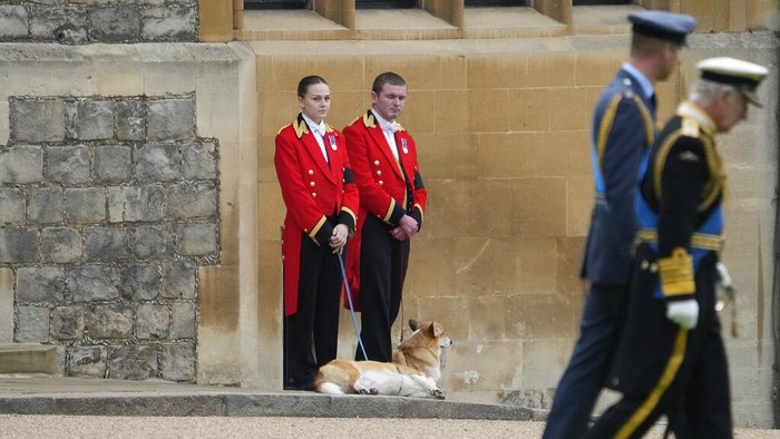 Momen Anjing Corgi Kesayangan Ratu Elizabeth II Menanti Prosesi Pemakaman Members of staff, with corgi dogs, await the arrival of the coffin of Queen Elizabeth II, as Britain's King Charles III and Prince William pass at Windsor Castle, Windsor, England, Monday Sept. 19, 2022. The Queen, who died aged 96 on Sept. 8, will be buried at Windsor alongside her late husband, Prince Philip, who died last year. (AP Photo/Gregorio Borgia, Pool)