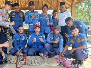 Buaya Nyasar ke Kolam Warga Subang Diurus BKSDA