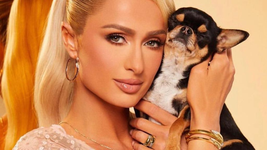 Paris Hilton Janjikan Hadiah Besar untuk Penemu Anjing Peliharaannya