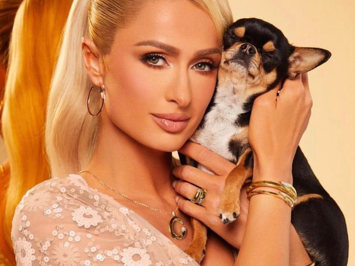 Paris Hilton dan anjing kesayangannya.