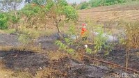 Hari ini ada dua lokasi (kebakaran lahan). Km 267 sama 269. Tapi api sudah padam semua, tinggal proses pendinginan, kata Kepala Cabang PPTR, Ian Dwinanto. Foto: Imam Suripto/detikJateng