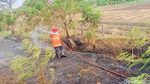 Potret Petugas Padamkan Kebakaran Lahan Dekat Tol Pejagan Km 267 dan 269