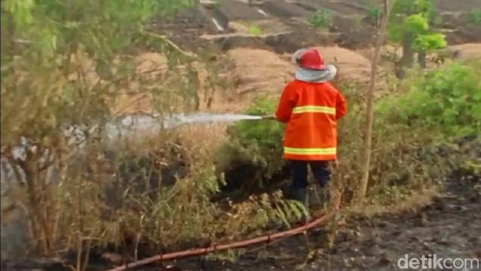 Petugas berusaha memadamkan kebakaran lahan di dekat tol Pejagan, Brebes, Selasa (20/9/2022) sore. Petugas berusaha memadamkan kebakaran lahan di dekat tol Pejagan, Brebes, Selasa (20/9/2022) sore.
