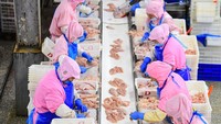 Sejumlah pekerja memotong ayam di pabrik daging dan unggas di Shenyang.