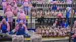 Potret Tempat Penjagalan Ayam di China, Mirip di RI?