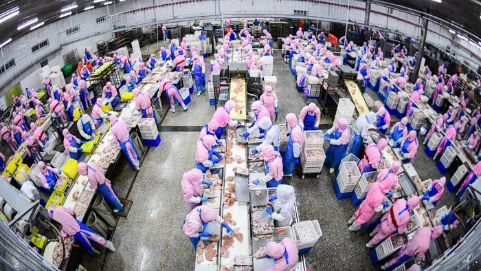 China memiliki pabrik pengolah daging dan unggas di Shenyang, Provinsi Liaoning. Pabrik ini menjadi salah satu pusat pemotongan ratusan ribu ayam ras terbesar di China.