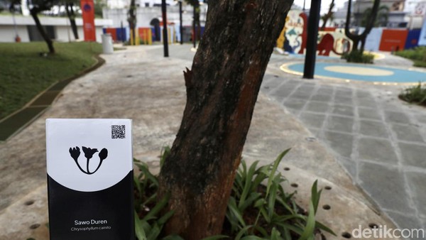 Berdasarkan pantauan detikTravel pada Senin (19/9) sore, meski baru diresmikan, Taman Literasi sudah membetot perhatian. Sesuai dengan namanya, taman ini memang menghadirkan fasilitas yang menunjang kegiatan literasi. Berdasarkan pantauan detikTravel pada Senin (19/9) sore, meski baru diresmikan, Taman Literasi sudah membetot perhatian. Sesuai dengan namanya, taman ini memang menghadirkan fasilitas yang menunjang kegiatan literasi.Â