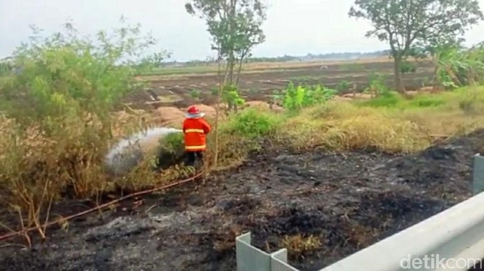 Kebakaran di lahan sekitar ruas tol Pejagan-Pemalang kembali terjadi. Selasa (20/9/2022) sore, api membakar rumput-rumput ilalang kering di KM 267 jalur B.