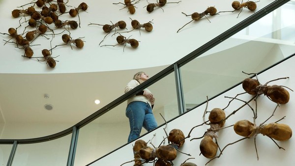 Sebanyak 700 patung semut raksasa menghiasi dinding dan jendela museum nasional Belanda, Rijksmuseum. Karya seniman Kolombia Rafael Gomezbarros yang mengangkat tema House Taken, ini diadakan untuk menarik perhatian masalah migrasi dan pemindahan paksa.