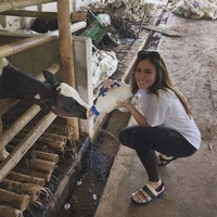 Tidak takut kotor, Wulan Guritno juga terlihat mencoba memberi minum sapi-sapi di sana. Dari raut wajahnya terlihat jelas jika Wulan tampak senang dan begitu menikmati momen liburannya. Foto: Instagram/@wulanguritno