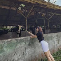 Wulan juga sempat terlihat main di kandang sapi. Mengenakan pakaian santai, Wulan memberi makan sapi-sapi di dalam kandang tersebut. Foto: Instagram/@wulanguritno