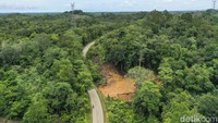 Jika dilihat dari ketinggian, nampak jelas pohon-pohon sawit dan perbukitan.