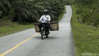 Pengendara melintas di Jalan Dwikora, Jagoi Babang, Kalimantan Barat, Kamis (8/9/2022).