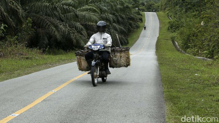 Wuzz! Mulusnya Jalan Penghubung RI-Malaysia di Jagoi Babang Jalan Dwikora di Jagoi Babang, Kalimantan Barat, merupakan lintasan warga perbatasan Indonesia dengan Malaysia. Jalan di sini mulus banget.