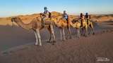 Terniat! Berburu Sunset dan Sunrise ke Gurun Pasir Sahara