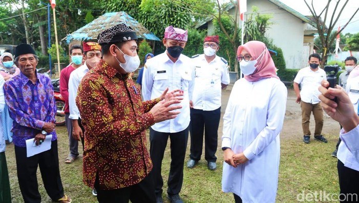 bunga desa banyuwangi