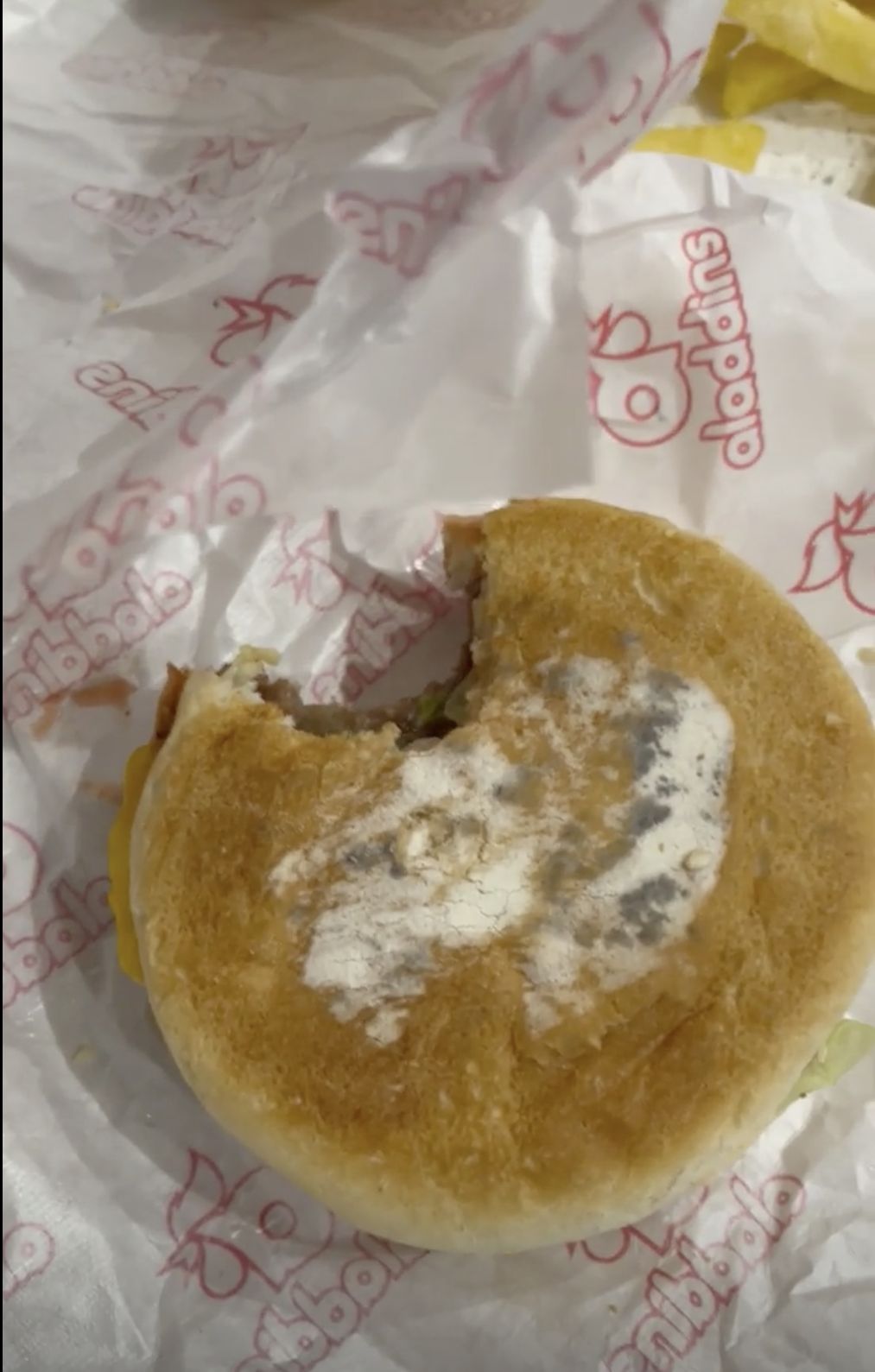 Burger berjamur