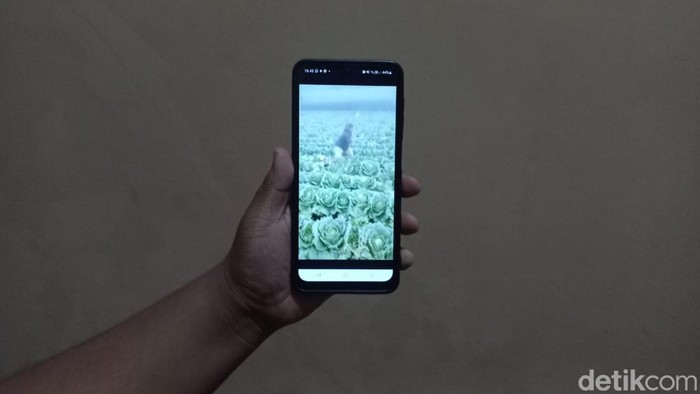 Foto video petani ngamuk gegara harga sayur merosot