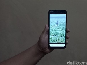 Harga Sayuran Merosot, Petani di Bandung Ngamuk!