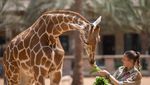 Gokil! Di Sini Kamu Bisa Makan Bareng Macan Tutul hingga Jerapah