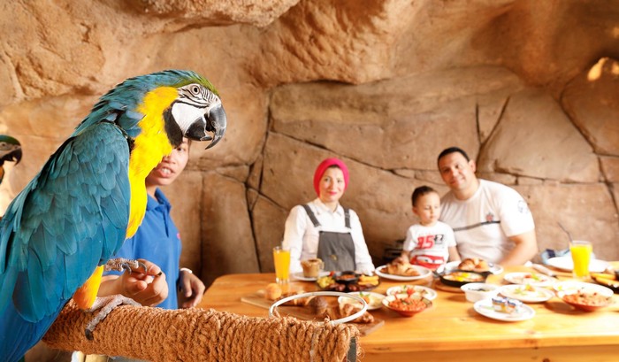 Gokil! Di Sini Kamu Bisa Makan Bareng Macan Tutul hingga Jerapah Gokil! Di Sini Kamu Bisa Makan Bareng Macan Tutul hingga Jerapah