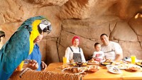  Tak hanya bisa melihat berbagai jenis hewan, tapi pengunjung juga bisa makan di dalam goa sambil ditemani berbagai hewan di sana. Foto: Pool/Site