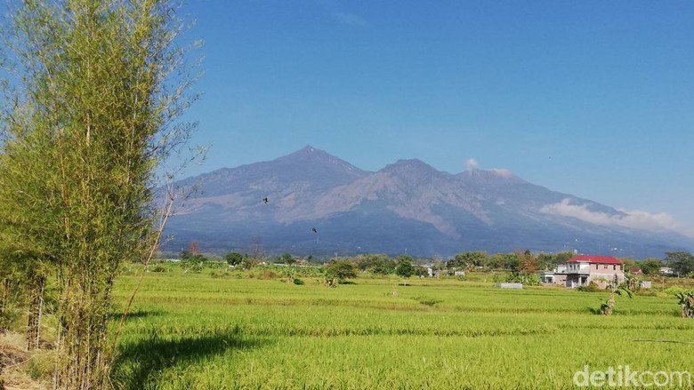Gunung Arjuno-Welirang