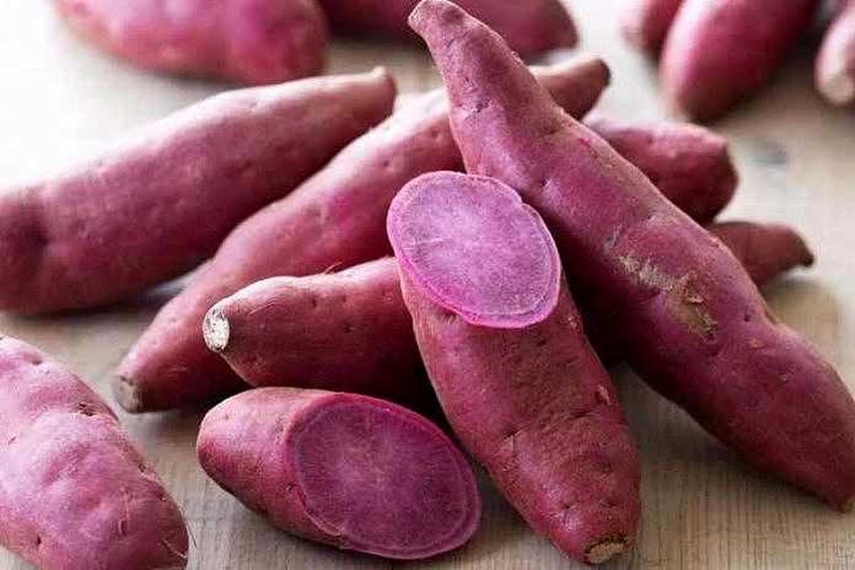 Sama-sama Enak, Ini Beda Nutrisi Ubi Jalar dan Ubi Ungu