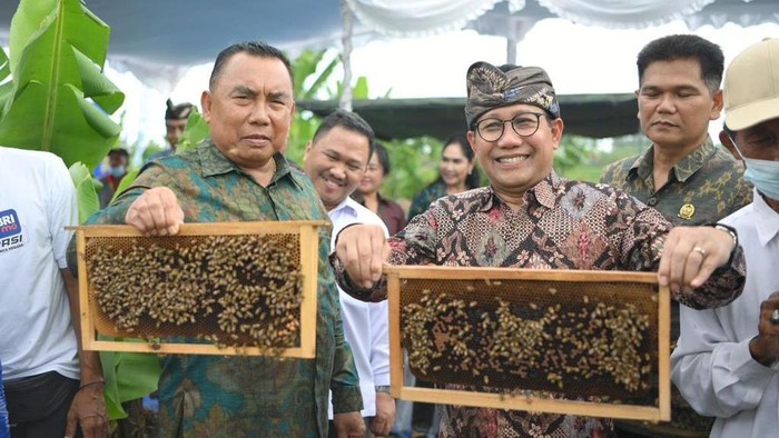 Mendes PDTT Abdul Halim Iskandar