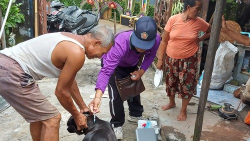 Petugas saat memberikan vaksin anti rabies (VAR) terhadap anjing di Buleleng.