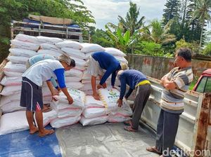 Jatim Dapatkan Alokasi Tambahan Pupuk Subsidi 200 Ribu Ton