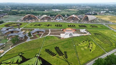 Crop Circle Unik Karya Petani China di Sichuan