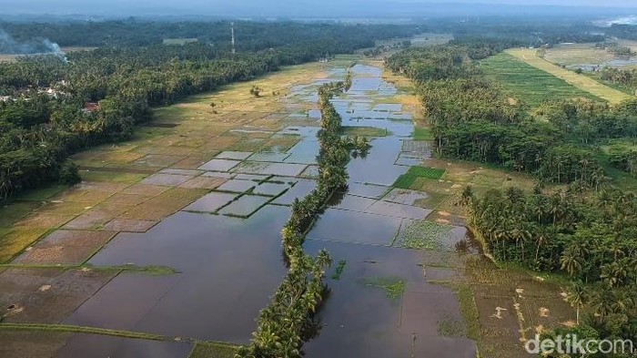 Tangkapan layar Drone pesawahan areal Desa Karangbenda