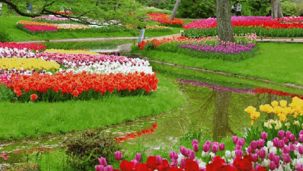 Warna-warni Taman Bunga di Jepang yang Bikin Takjub