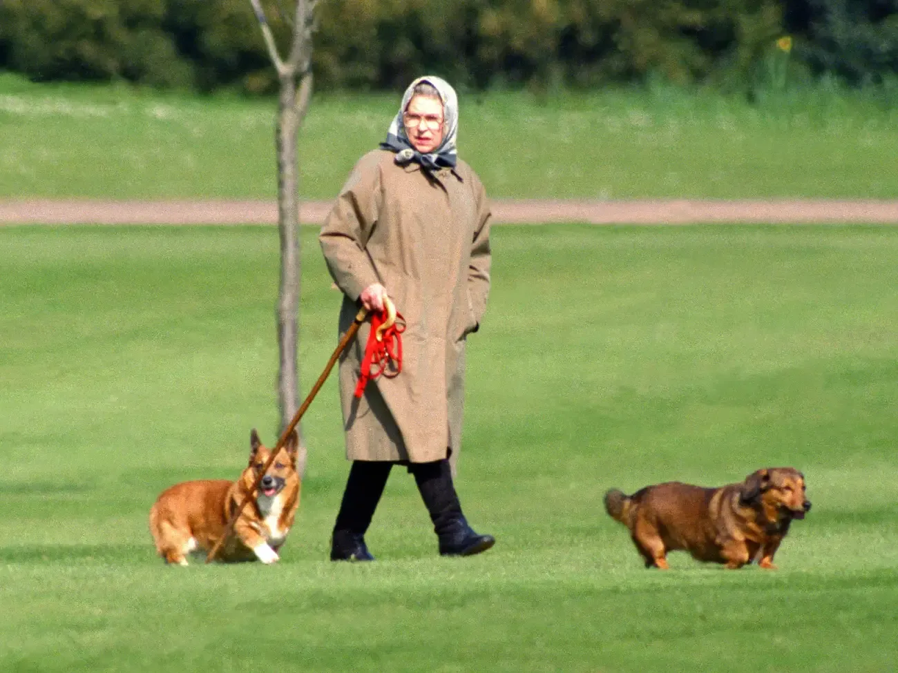 6 Kebiasaan Makan Unik Ratu Elizabeth II Ini Diungkap Mantan Chef Kerajaan