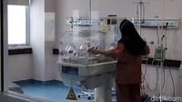 Meski dalam kondisi stabil, bayi kemba siam yang lahir dengan  2 kepala satu badan dirawat intensif di RSUD dr Jamil Padang. Terkini bayi tersebut dibantu ventilator untuk bernafas. (Jeka Kampai/detikSumut)