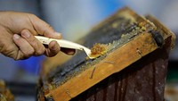 Penampakan madu dari sarang lebah yang akan diekstraksi.
