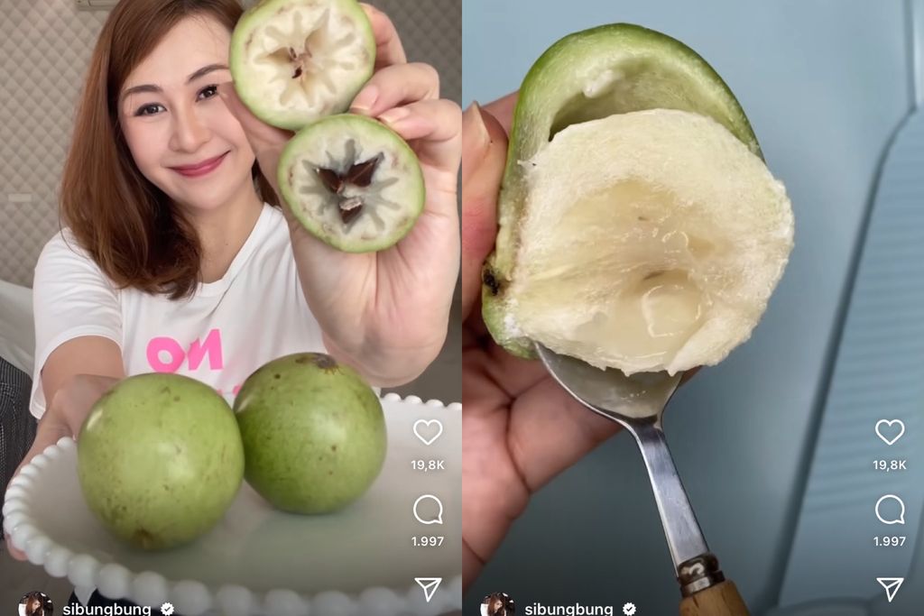 Buah unik yang dicicipi oleh Sibungbung