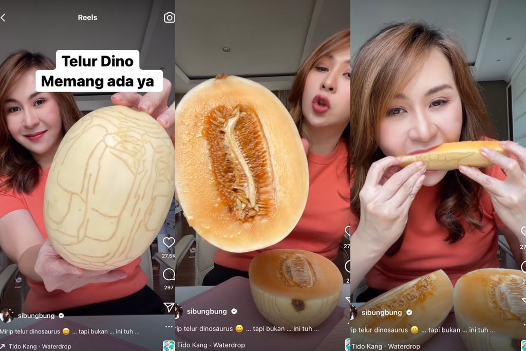 Buah unik yang dicicipi oleh Sibungbung