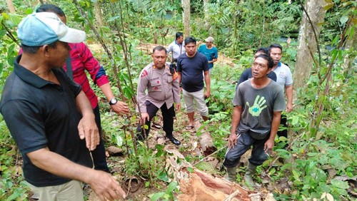Kapolsek Mendoyo AKP I Putu Suarmadi dan anggota mendatangi TKP pekerja tertimpa pohon, Kamis (22/9/2022).