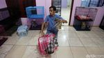 Malaikat Kucing-kucing Terlantar