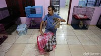 Rumah Singgah Clow ini menjadi tempat penampungan sementara. Kucing-kucing yang sudah diselamatkan dan kondisinya sehat, boleh diadopsi oleh siapa pun yang menginginkannya. Ia tak akan pernah melepas liarkan kucing-kucing yang sudah ada di CLOW untuk ke luar lagi, kecuali di adopsi.