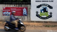 Berangkat dari kecintaan terhadap kucing itulah yang membuat dirinya membangun rumah singgah bernama Clow. Rumah itu diperuntukan bagi kucing yang kurang beruntung karena hidup terlantar bahkan tak terurus hingga sakit di jalanan.