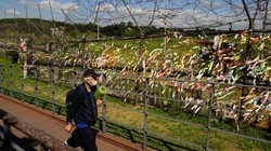 Ingin Liburan Menegangkan di Korea, Coba ke Perbatasan Korut
